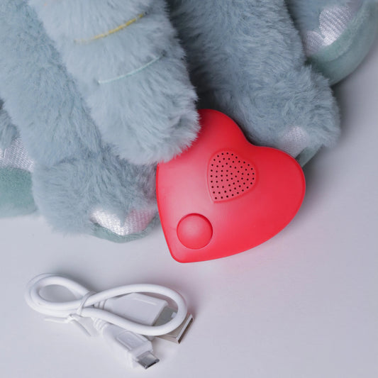 Close-up van Milody muziekmodule in knuffel, gepersonaliseerd liedje voor baby