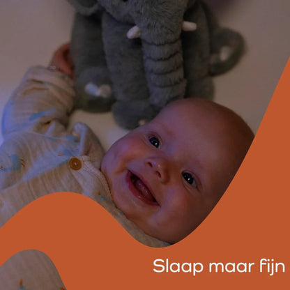 Slaap maar fijn - Personaliseer dit slaapliedje met je naam