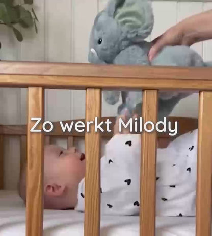 Slaap maar fijn - Slaapliedje met naam van de baby